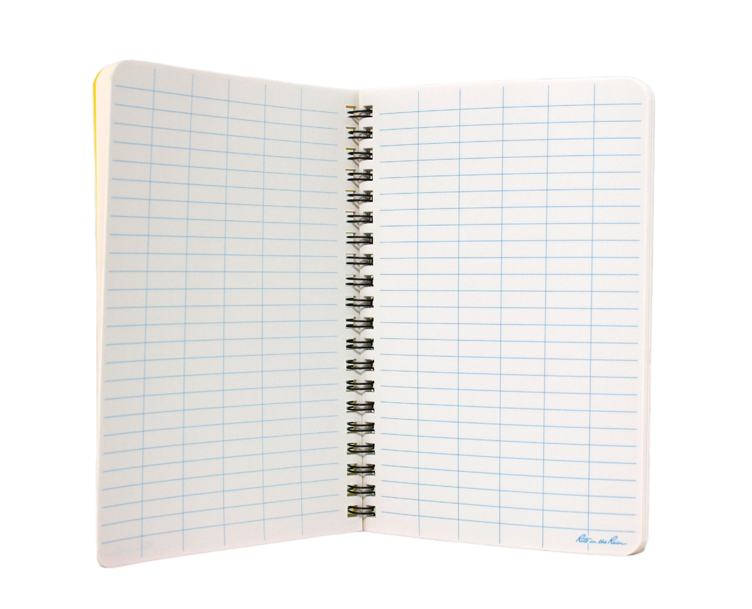 Inside pages, grid ruled in light blue