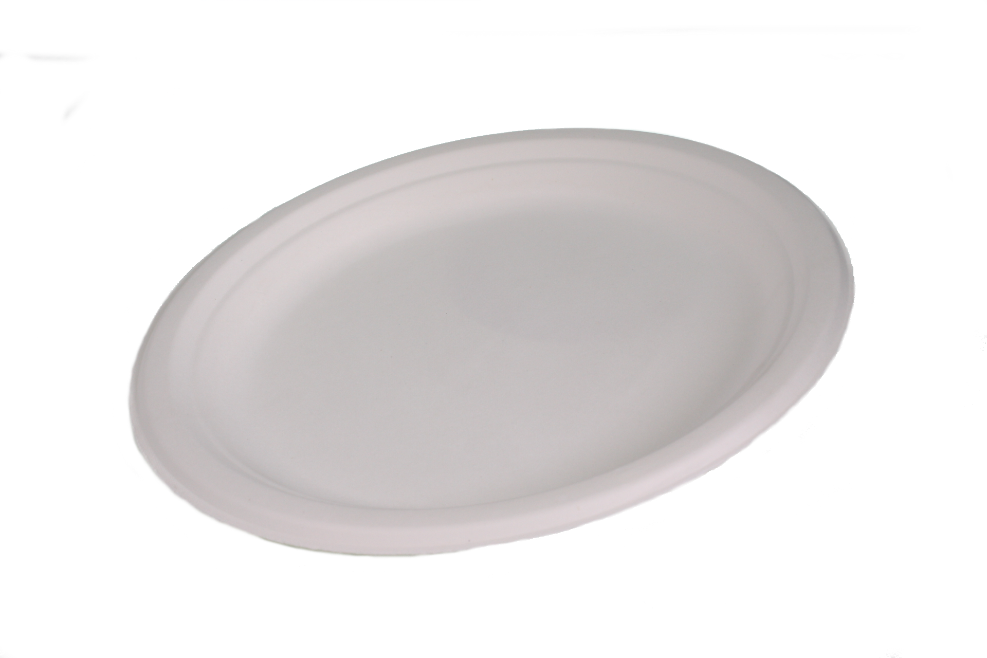 A single biodegradable plate